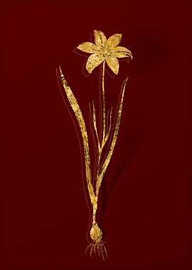 Gold Botanical on Red