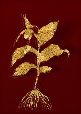 Gold Flower on Red