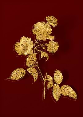 Gold Botanical on Red