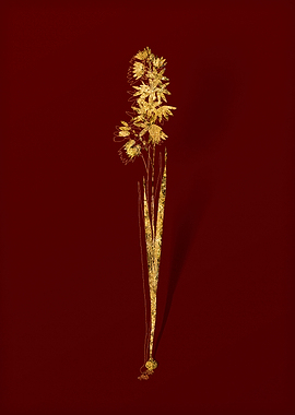 Gold Botanical on Red