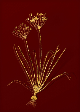 Gold Flora on Red