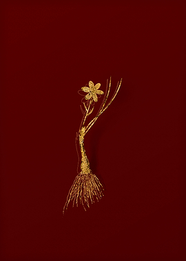 Gold Flora on Red