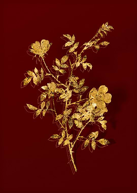 Gold Botanical on Red