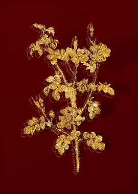 Gold Botanical on Red