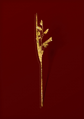 Gold Botanical on Red