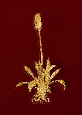 Gold Flora on Red