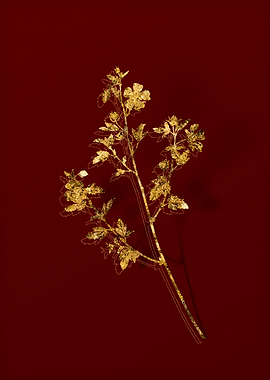 Gold Botanical on Red