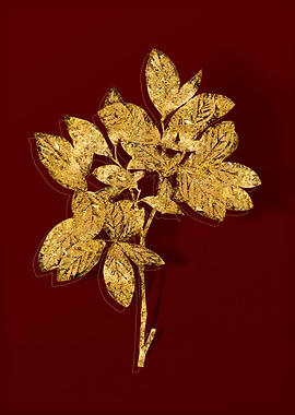 Gold Botanical on Red