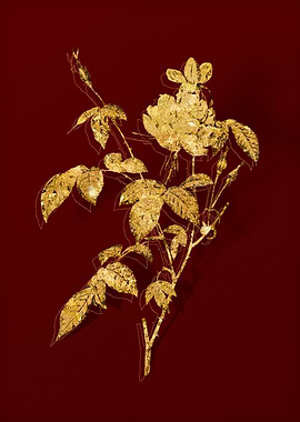 Gold Botanical on Red