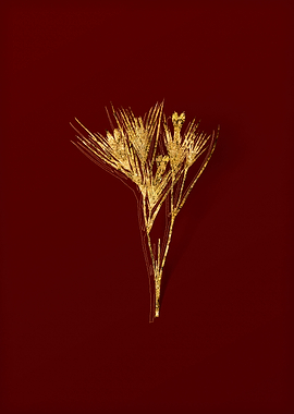 Gold Flower on Red