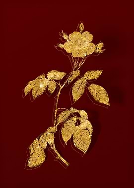 Gold Flora on Red