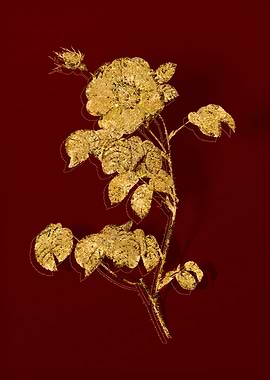 Gold Botanical on Red