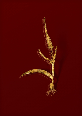 Gold Botanical on Red