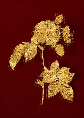Gold Flora on Red