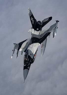 Fighting Falcon