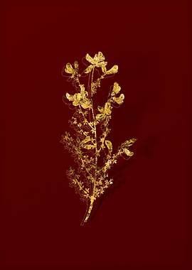 Gold Botanical on Red