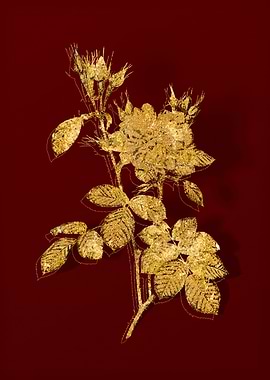 Gold Flora on Red