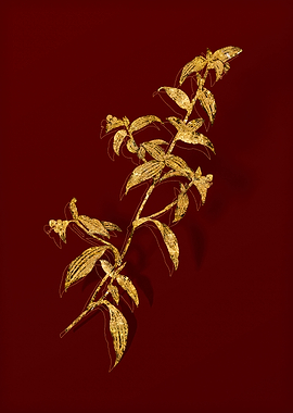Gold Flora on Red