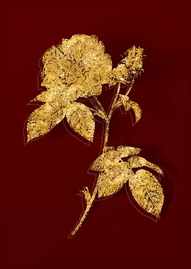 Gold Botanical on Red