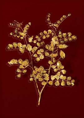 Gold Botanical on Red