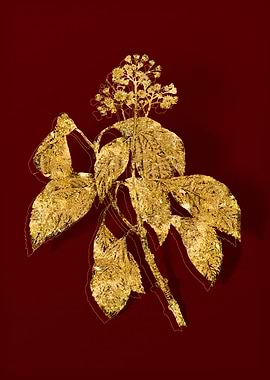 Gold Botanical on Red