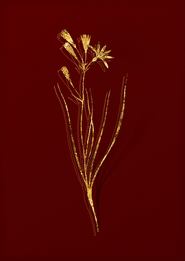 Gold Flora on Red