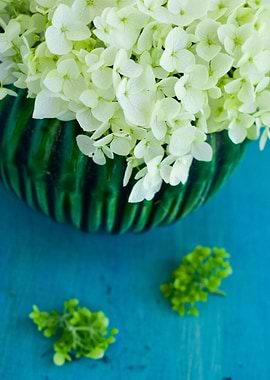Hydrangea in Green Vase