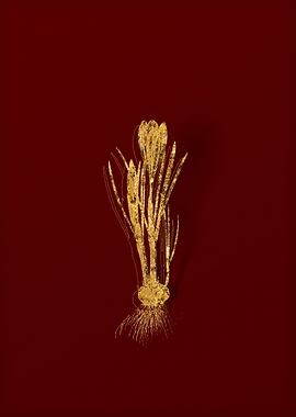 Gold Flora on Red