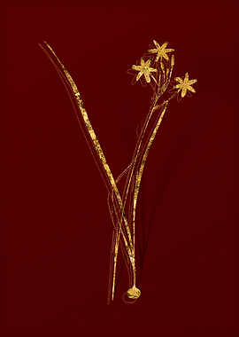 Gold Botanical on Red
