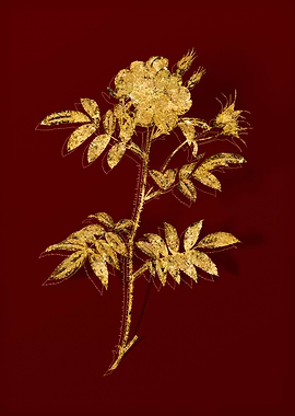 Gold Botanical on Red