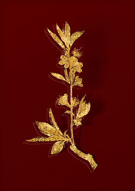 Gold Flora on Red