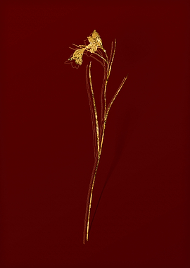 Gold Flower on Red