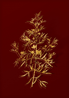 Gold Botanical on Red