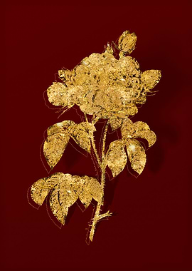 Gold Botanical on Red