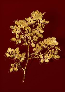 Gold Botanical on Red