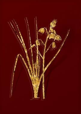 Gold Flora on Red