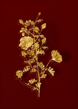 Gold Botanical on Red