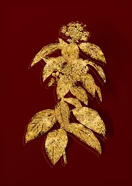 Gold Flora on Red