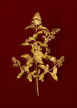 Gold Botanical on Red