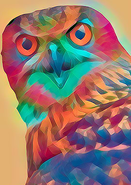 abstract real owl