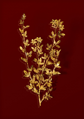 Gold Botanical on Red