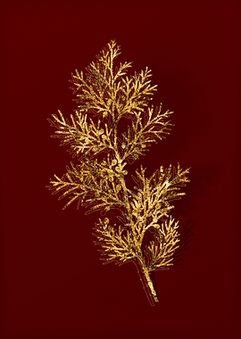Gold Botanical on Red