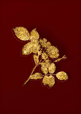 Gold Botanical on Red