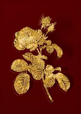 Gold Botanical on Red