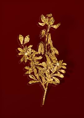 Gold Botanical on Red