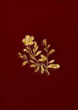 Gold Botanical on Red