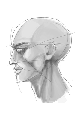 The Forgotten Pharaoh