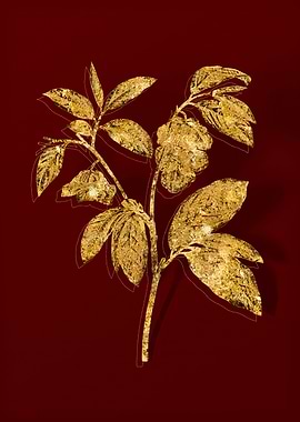 Gold Botanical on Red