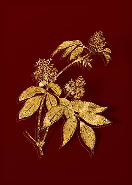 Gold Botanical on Red