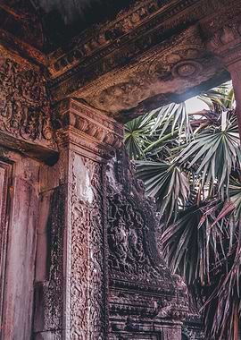 Angkor Wat Tropical